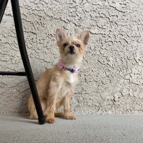 Meet your Posher, Phabien - Picture 1 of 1